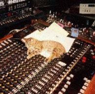 Nightshift Studios