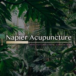 Napier Acupuncture Clinic