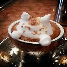 Aurora Cafe