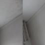 Mould Treatment