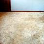 Carpet cleaned