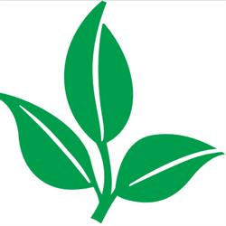 Superior Minerals