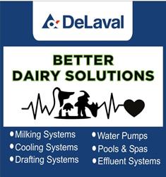 Better Dairy Solutions