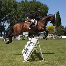 Central Hawkes Bay A & P Association