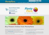 Plentyflora - Gerberas