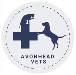 Avonhead Vets