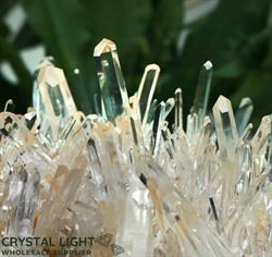 Crystal Light