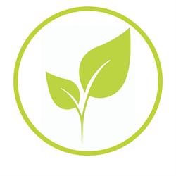 Professional Investment Services Ltd