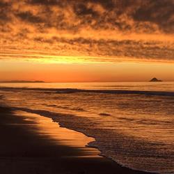 Opotiki Bait & Tackle