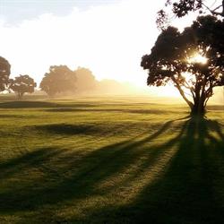 Hawera Golf Club