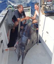 Serious Fishing Co Ltd