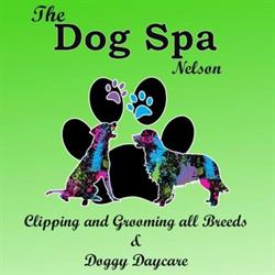 Dog Spa