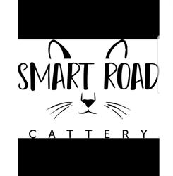 Smart Road Cattery