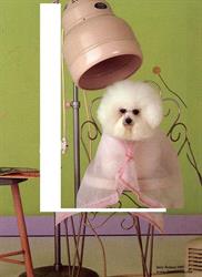 Jane S Dog Grooming Studio