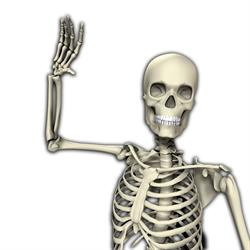 Papakura South Chiropractic Clinic