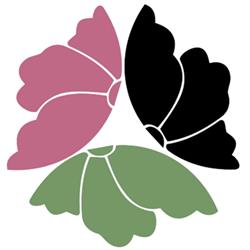 Auckland Women S Centre Awc