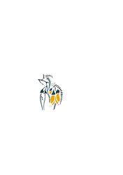 Kowhai Clinic General Practitioners
