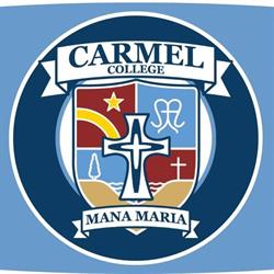 Carmel College Board Of Trustees