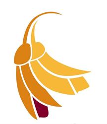 Otago Community Hospice