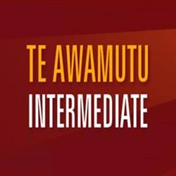 Te Awamutu Intermediate
