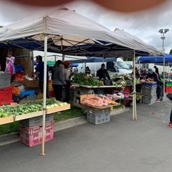 Avondale Sunday Market