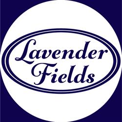 Lavender Fields