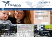 Pegasus Health 24 Hour Surgery