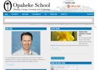 Opaheke Primary School