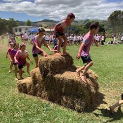 Ramarama School