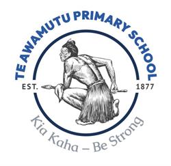 Te Awamutu Primary School
