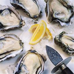 New Zealand Seafoods Ltd