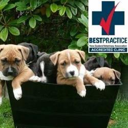 Whangaporaoa Veterinary Centre Ltd