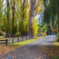 Silverstream Lodge