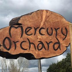 Mercury Orchard Bed & Breakfast