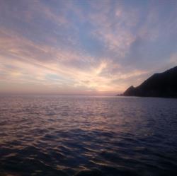Kaka Point Camping Grounds