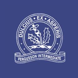 Fergusson Intermediate