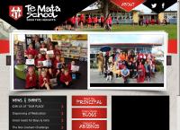 Te Mata School