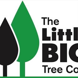 The Little Big Tree Company & The Little Big Trellis Company