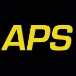 Automotive Professional Services