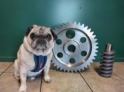 Duralloy Gears Ltd