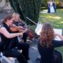Wedding - Martinborough