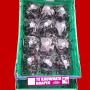 Black Albany Surprise Grapes