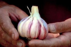 Victory Fruit & Vegetables