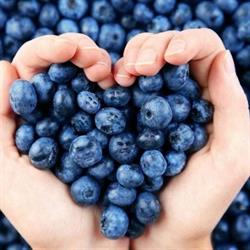 Monavale Blueberries Ltd