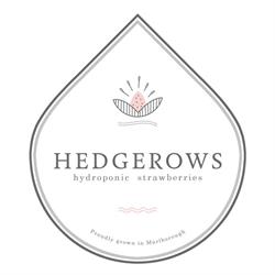 Hedgerows Hydroponic