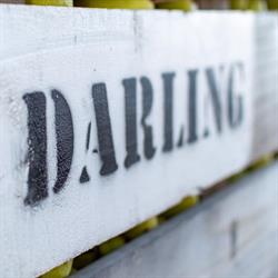 Darlings Fruit Packers Ltd