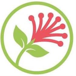 Montessori-Kohimarama Montessori Pre-School