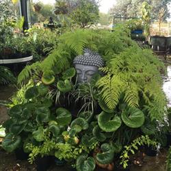 Greenways Landscape Supplies