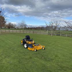 Mower And Chainsaw Specialists Limited
