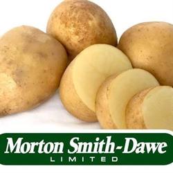 Morton Smith-Dawe Ltd